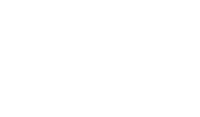 EIA — elevate impact advisory